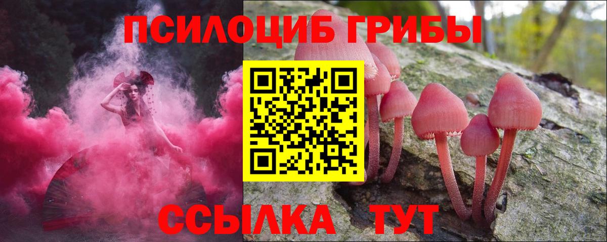 Галлюциногенные грибы GOLDEN TEACHER  закладка  Глазов  Вход с VPN 