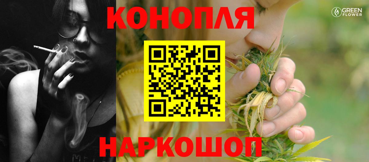 Бошки Шишки планчик Глазов